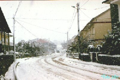 Avenida Principal - Nevo